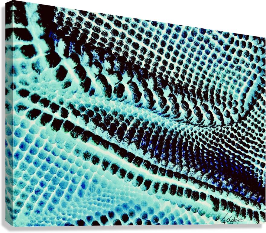 En rangee  Canvas Print