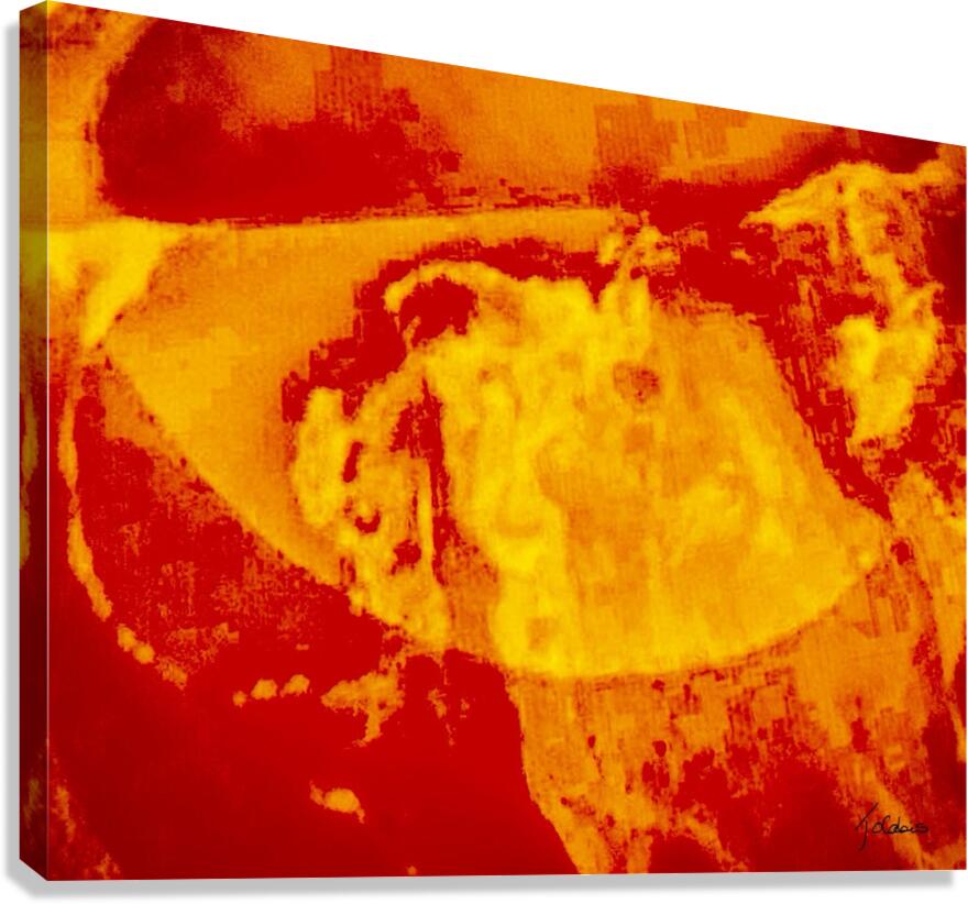 Presage Canvas Print