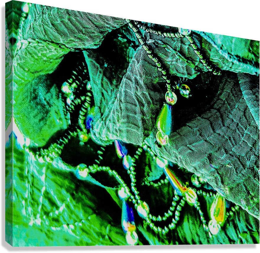 Bijoux  Canvas Print