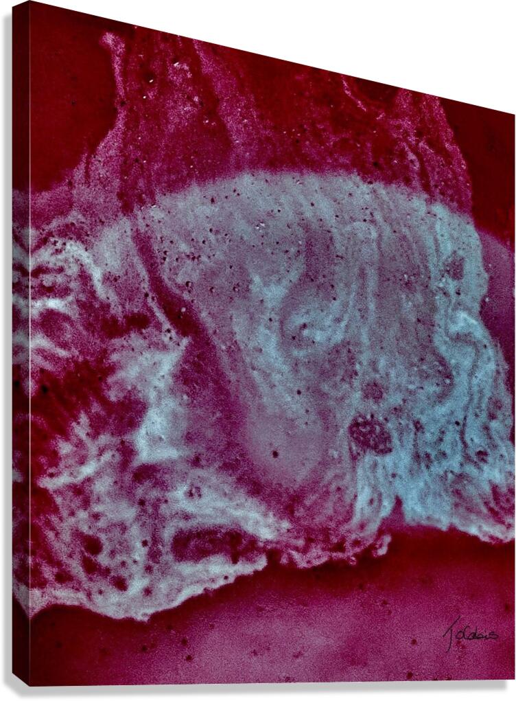 Rouge betterave  Canvas Print