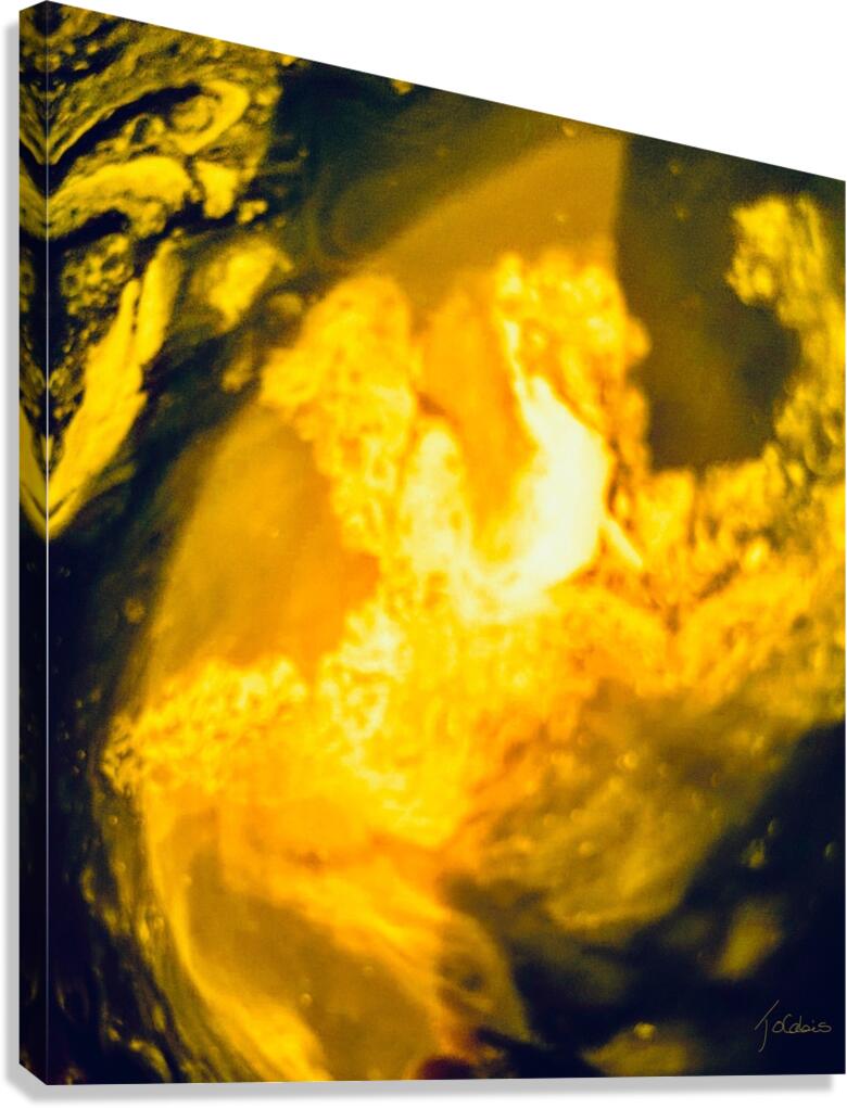 Dualite  Canvas Print