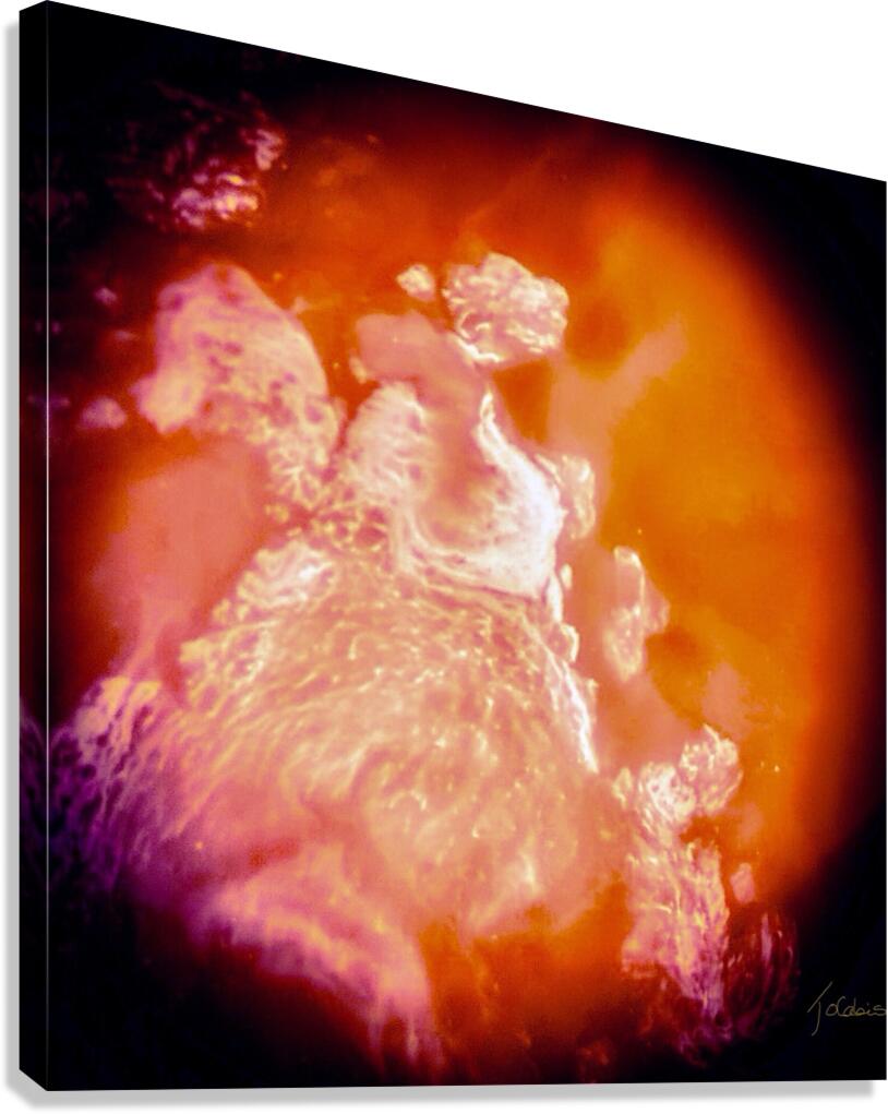 Medaillon  Canvas Print
