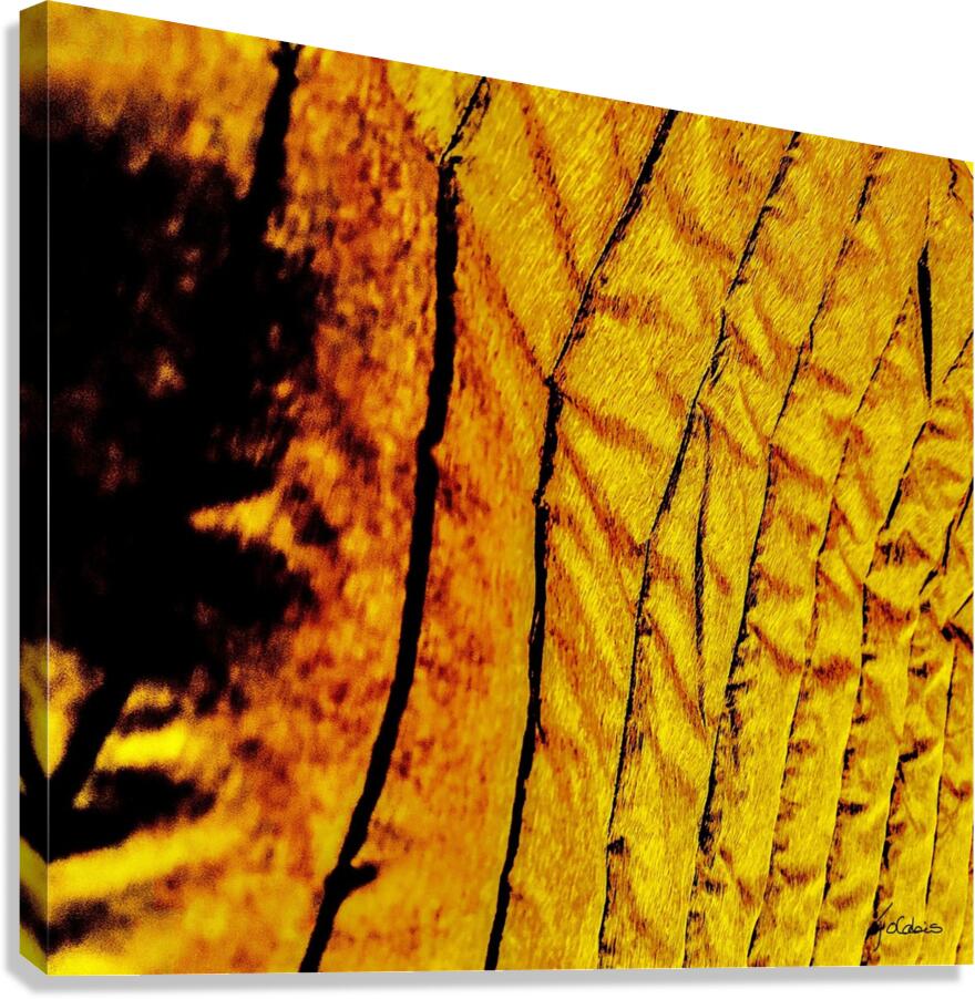 Dorures Canvas Print