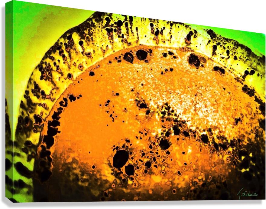 Crateres Canvas Print
