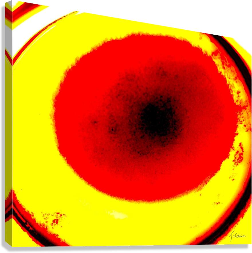 Noyau  Canvas Print