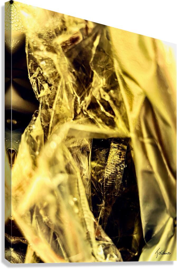 Texture doree  Canvas Print
