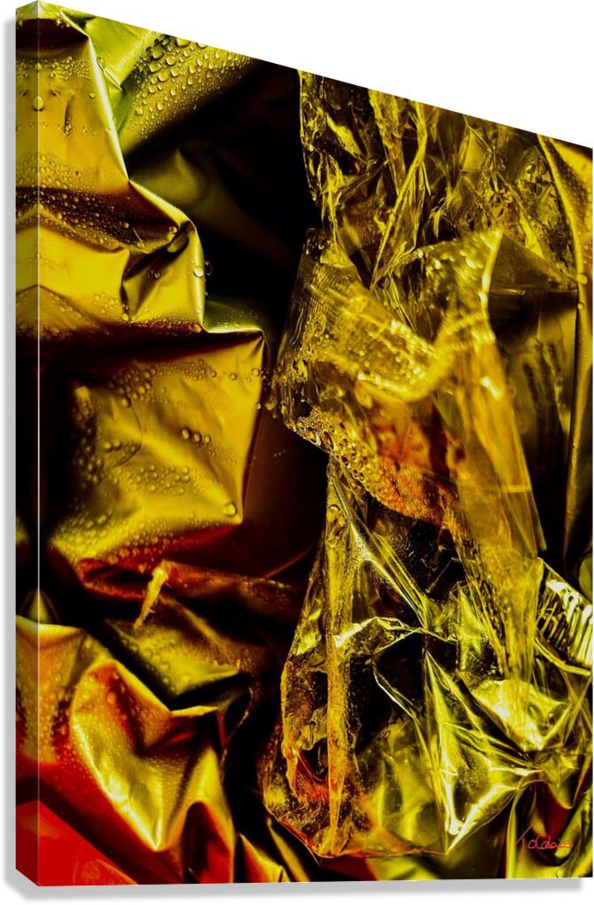 Gouttelettes  Canvas Print