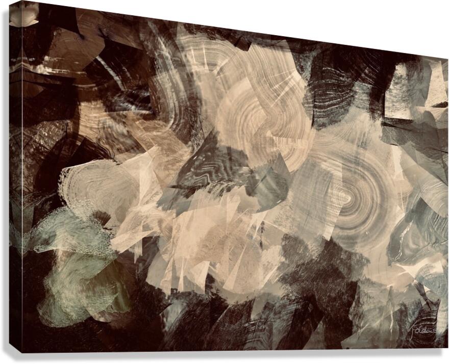 Spin  Canvas Print