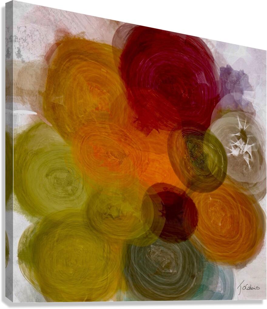 Spinaux  Canvas Print