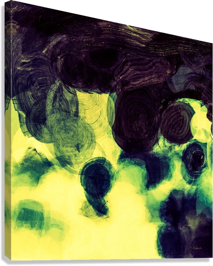 Spirales  Canvas Print