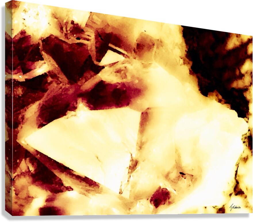 Ebloui  Canvas Print