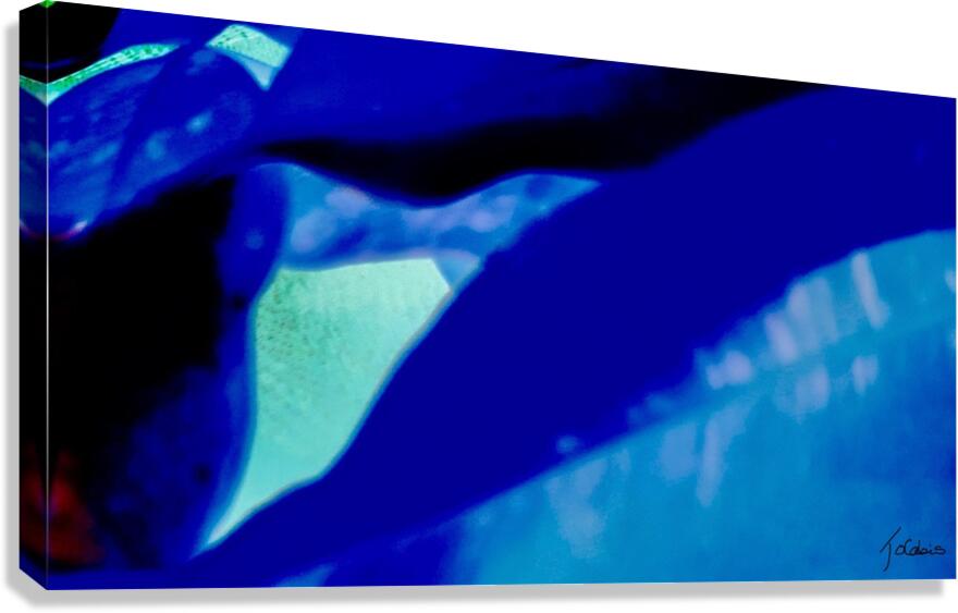 L’emergence  Canvas Print