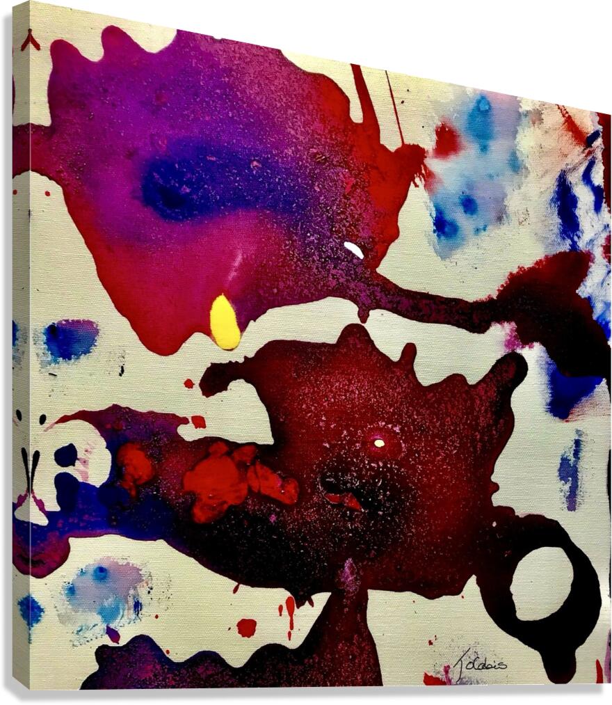 Carrosse  Canvas Print