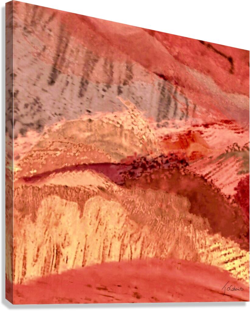 Rose  Canvas Print