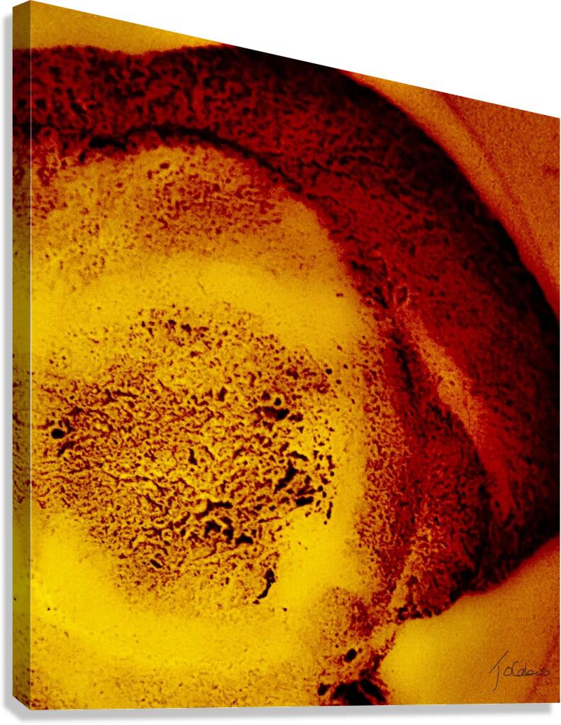 Indescriptible  Canvas Print