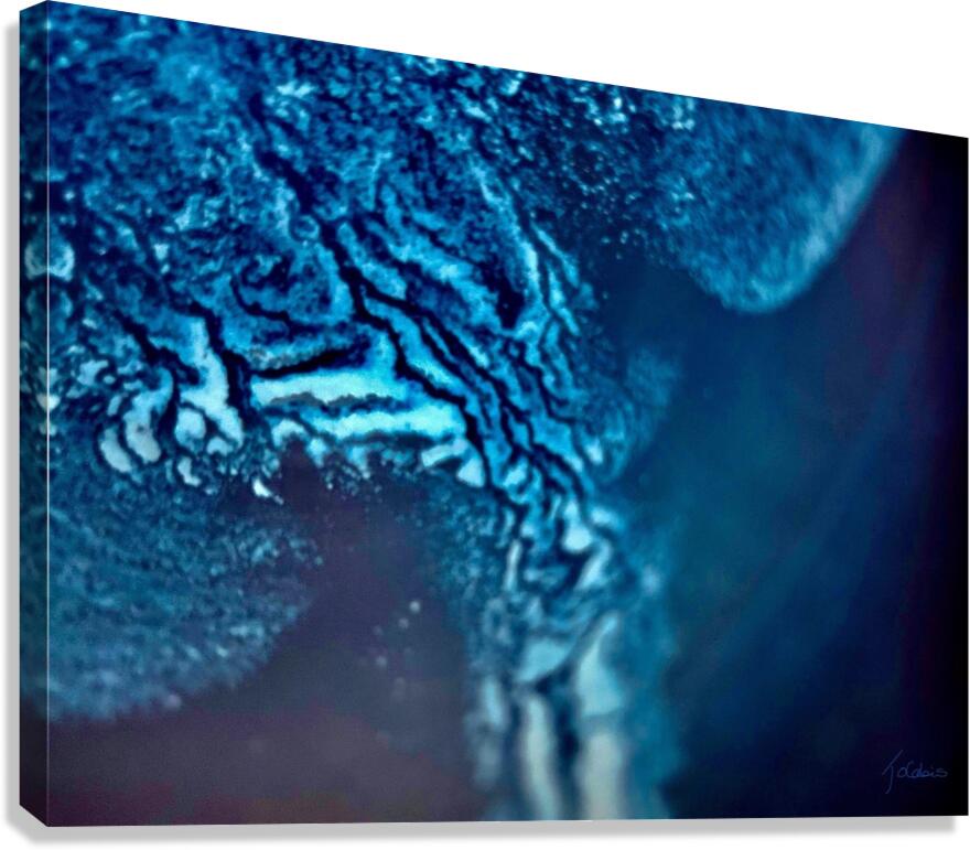 Indefinissable  Canvas Print