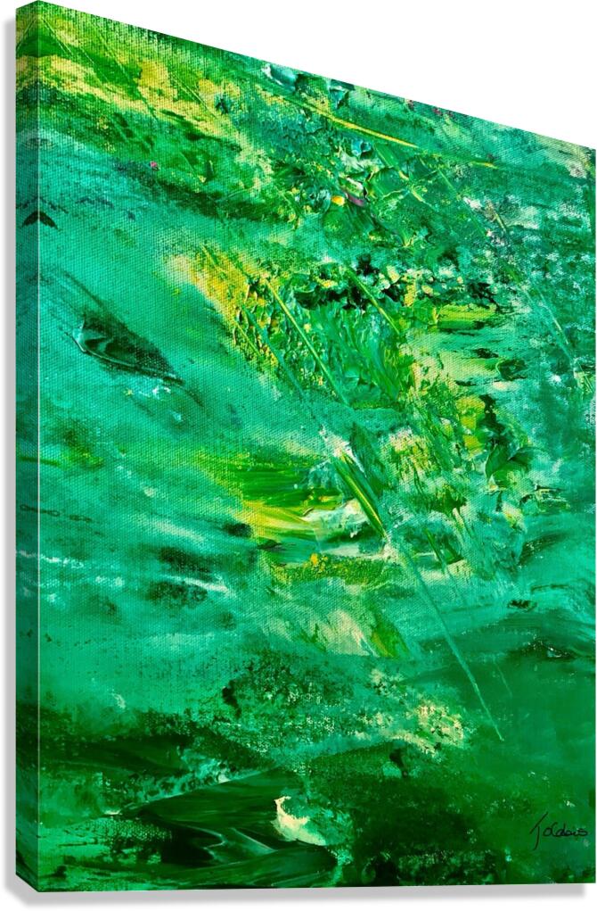 Algues vertes Canvas Print