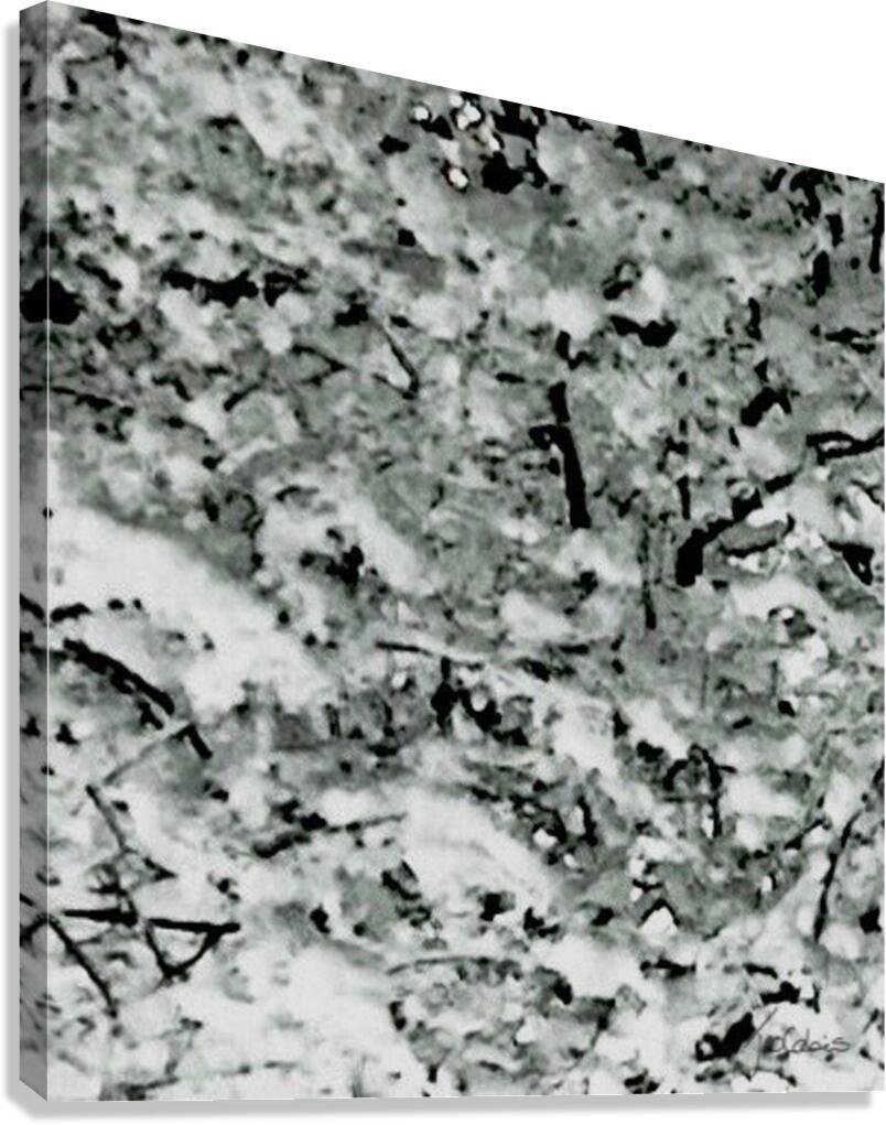 Enneigement  Canvas Print