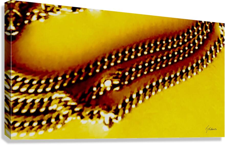Chainon  Canvas Print