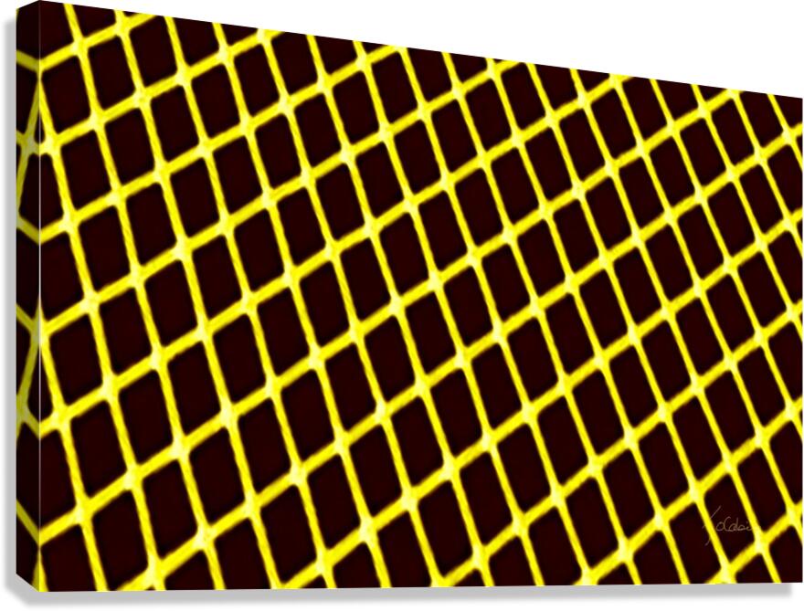 Geometrique  Canvas Print
