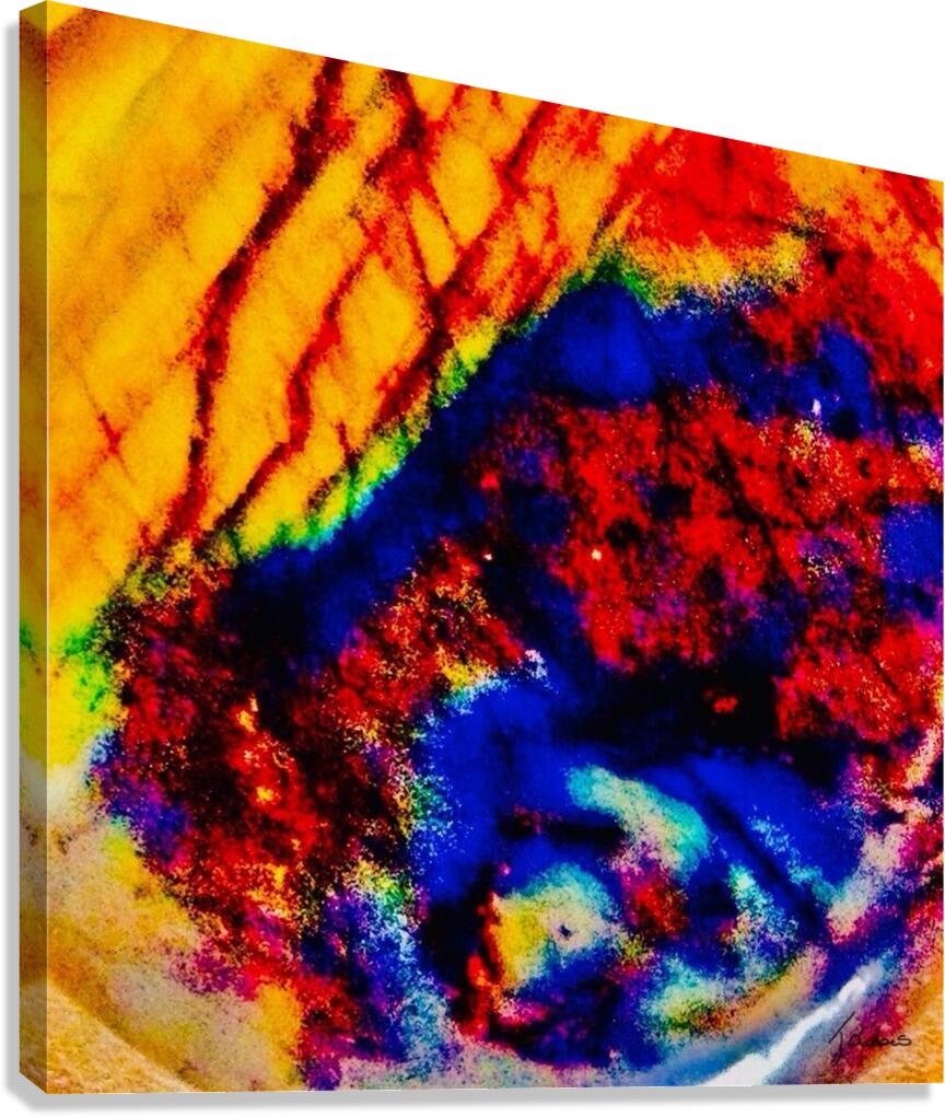 Talisman  Canvas Print