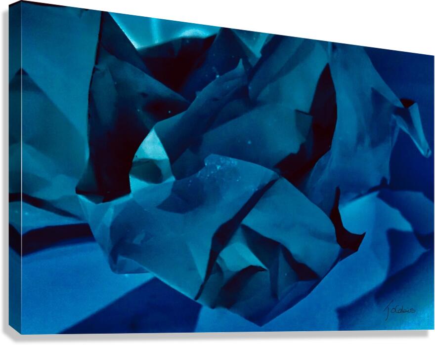 L’oeil  Canvas Print