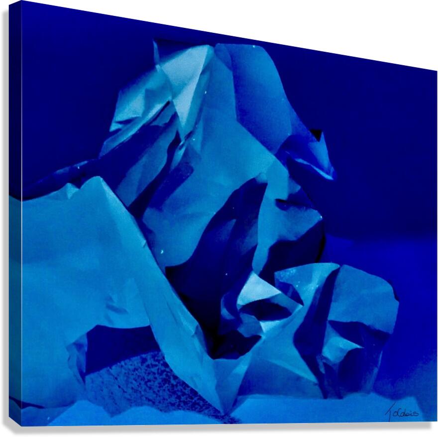 Hippocampe  Canvas Print