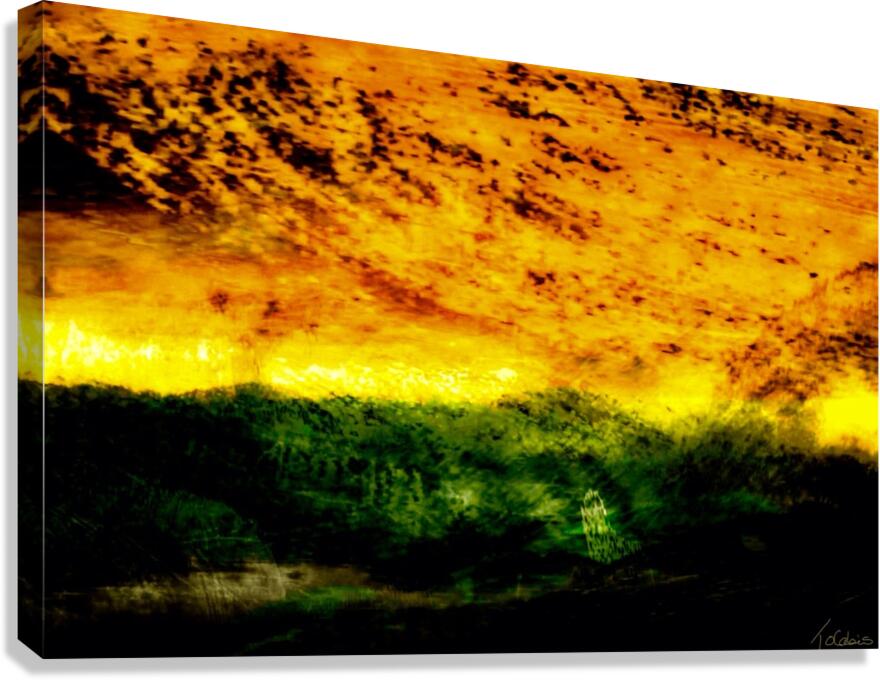 Terre aride Canvas Print