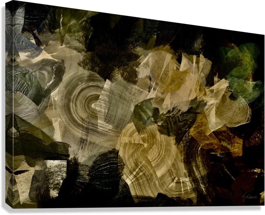 Superpose  Canvas Print