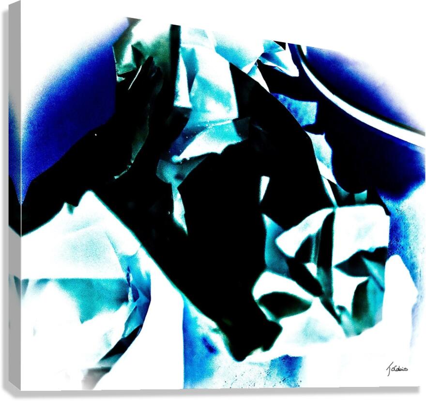 Negative  Canvas Print