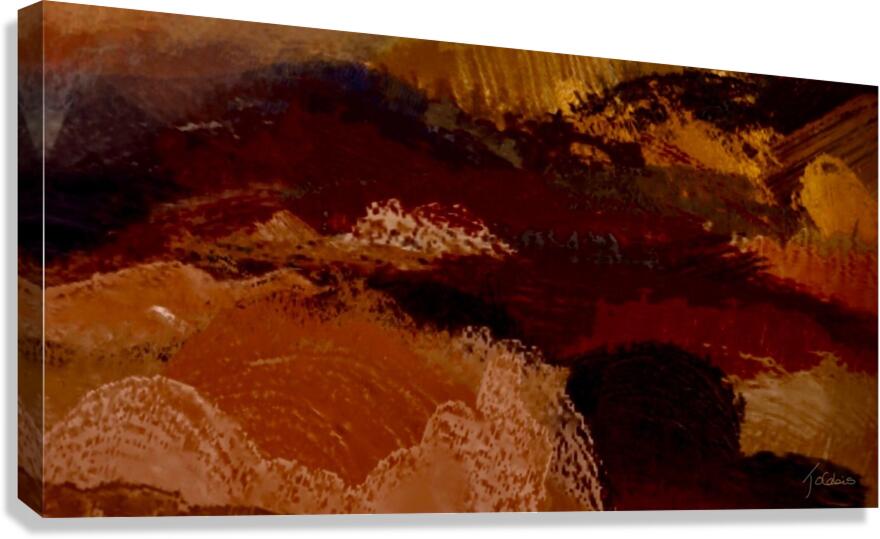 Lichen  Canvas Print