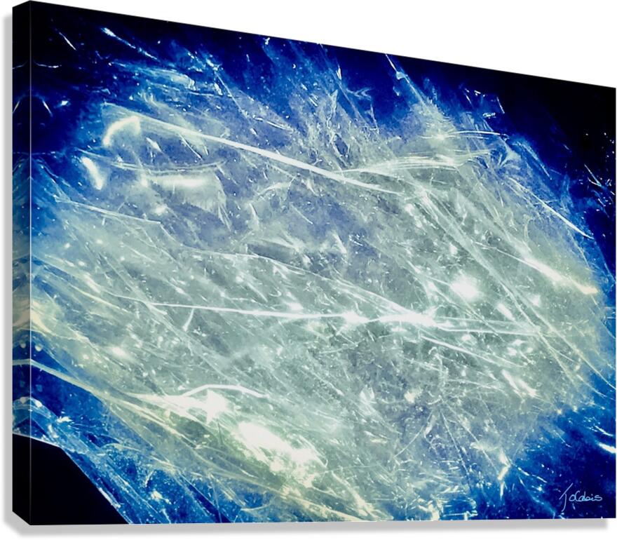 Abstraction I Canvas Print