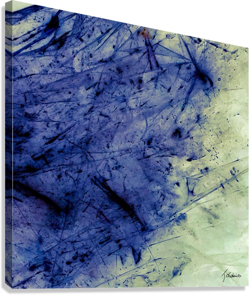 Abstraction II Canvas Print