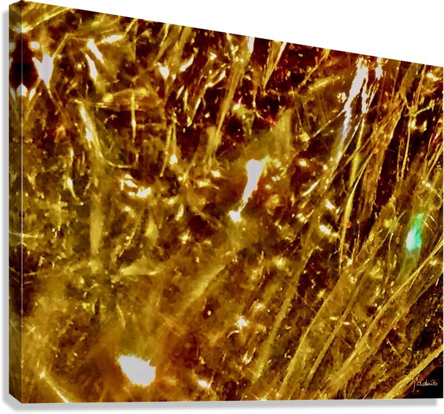 Abstraction V Canvas Print