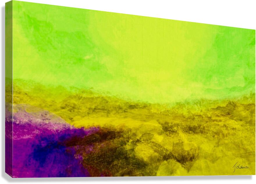 Rocaille  Canvas Print
