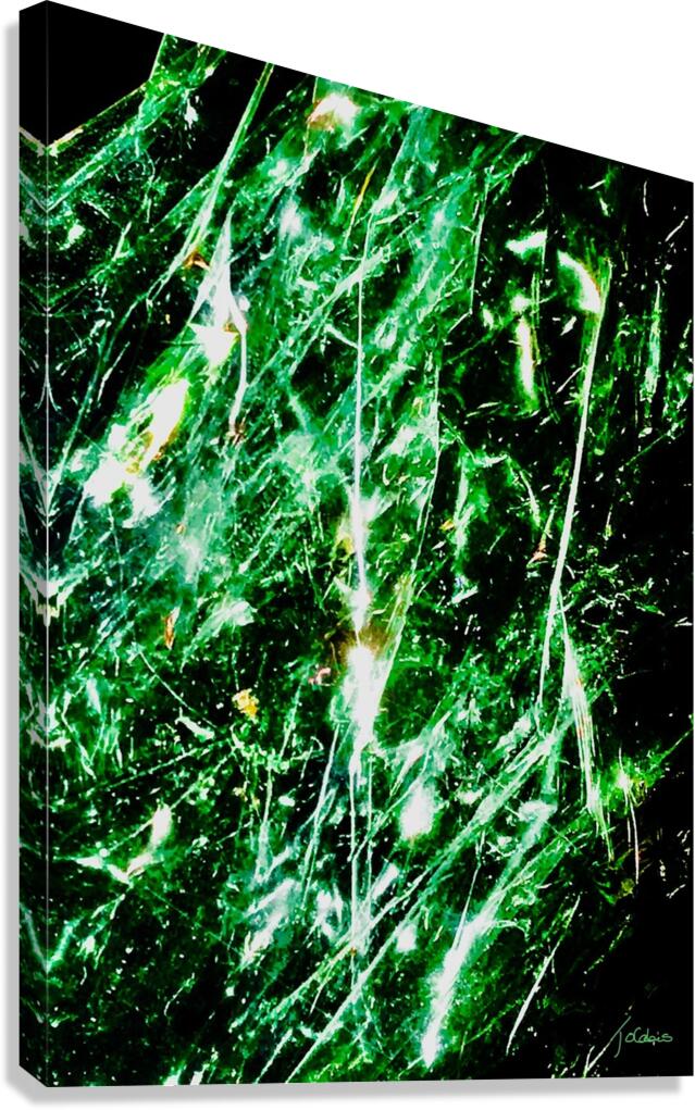 Abstraction  Canvas Print