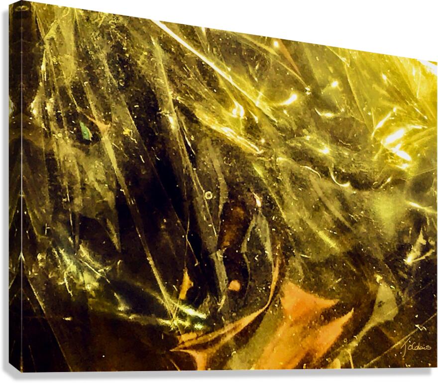 Abstraction  Canvas Print