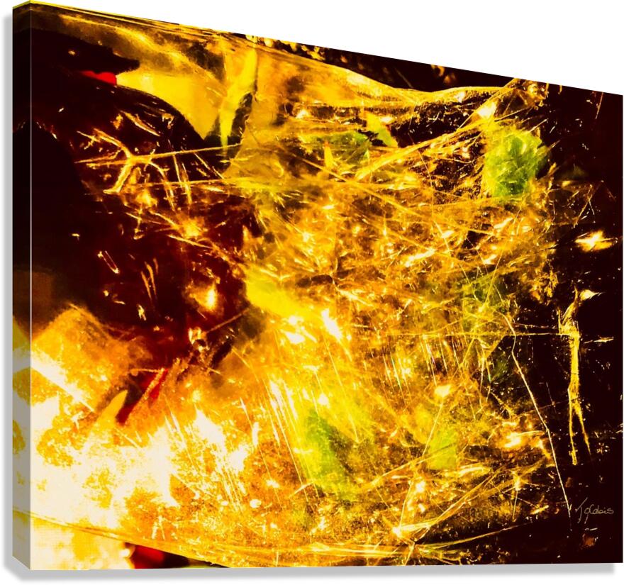 Abstraction  Canvas Print