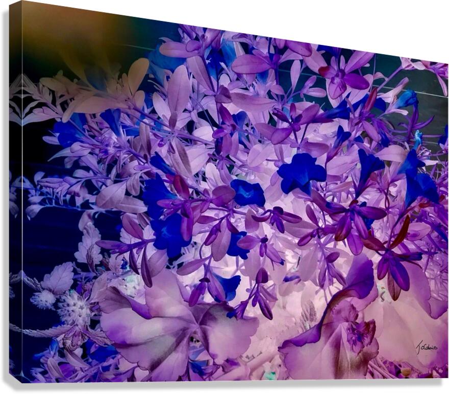 Fleurs  Canvas Print