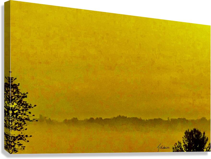 Brumeuse  Canvas Print