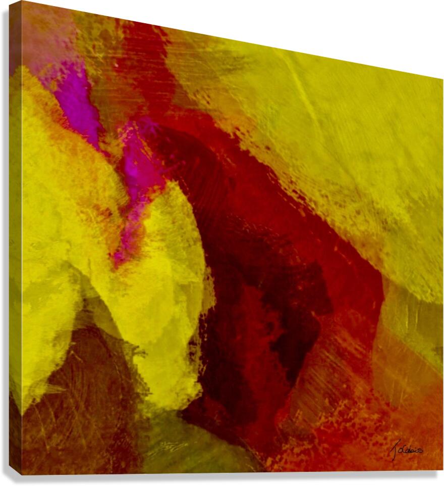 Observation  Canvas Print
