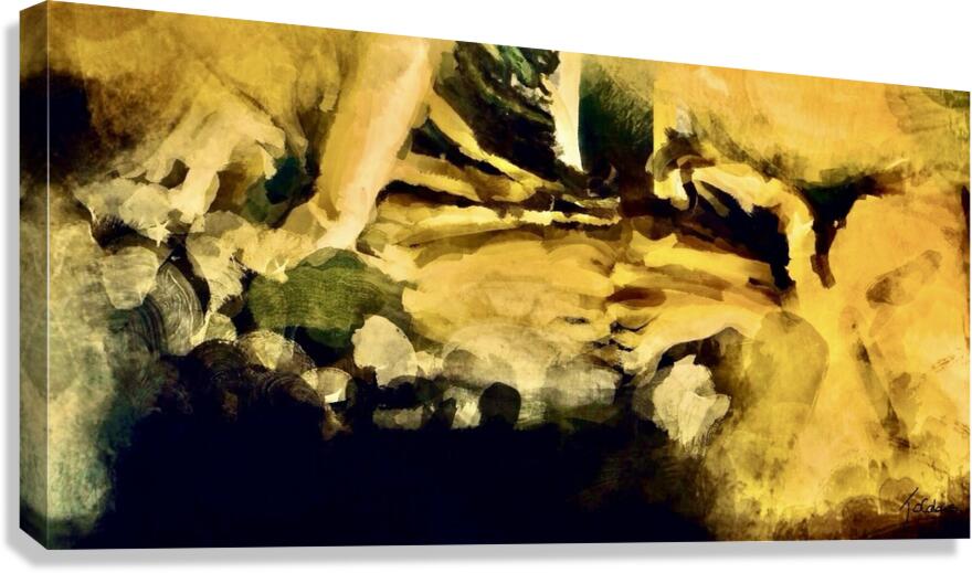 La scene  Canvas Print