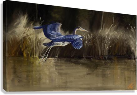 Blue Heron Canvas Print