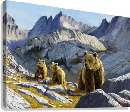 Mountain Bears Canvas Print