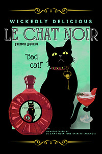Le Chat Noir French Liqueur Vintage Print
