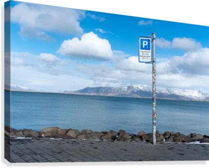 Park Here Canvas Print