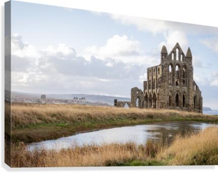 WhitbyAbby Canvas Print