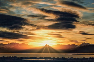 China Poot Sunrise