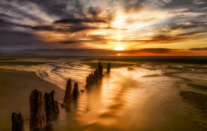 Mariner Park by Dave Veith