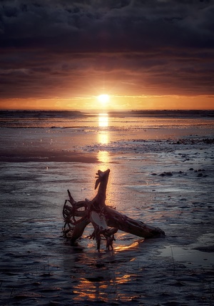Dragon Sunset